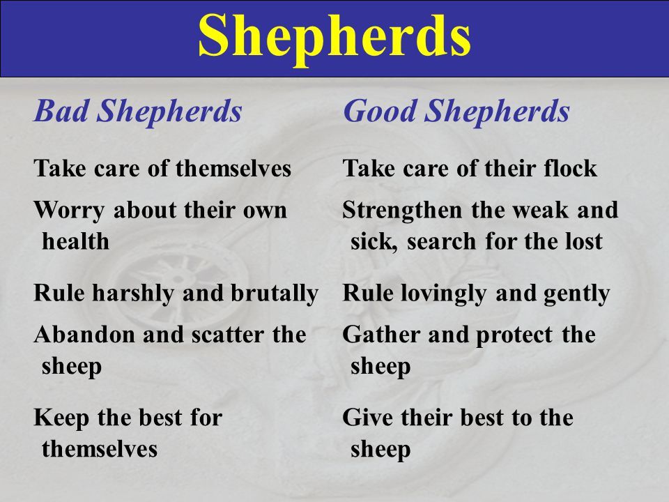 Shepherds